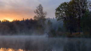 Суық әрі тұман: 16 қазанның ауа райы болжамы