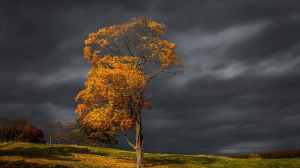 Қолайсыз ауа райына байланысты бірнеше өңірде ескерту жарияланды