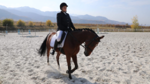 Атпен мәнерлеп жүруден Қазақстан чемпионаты өтті