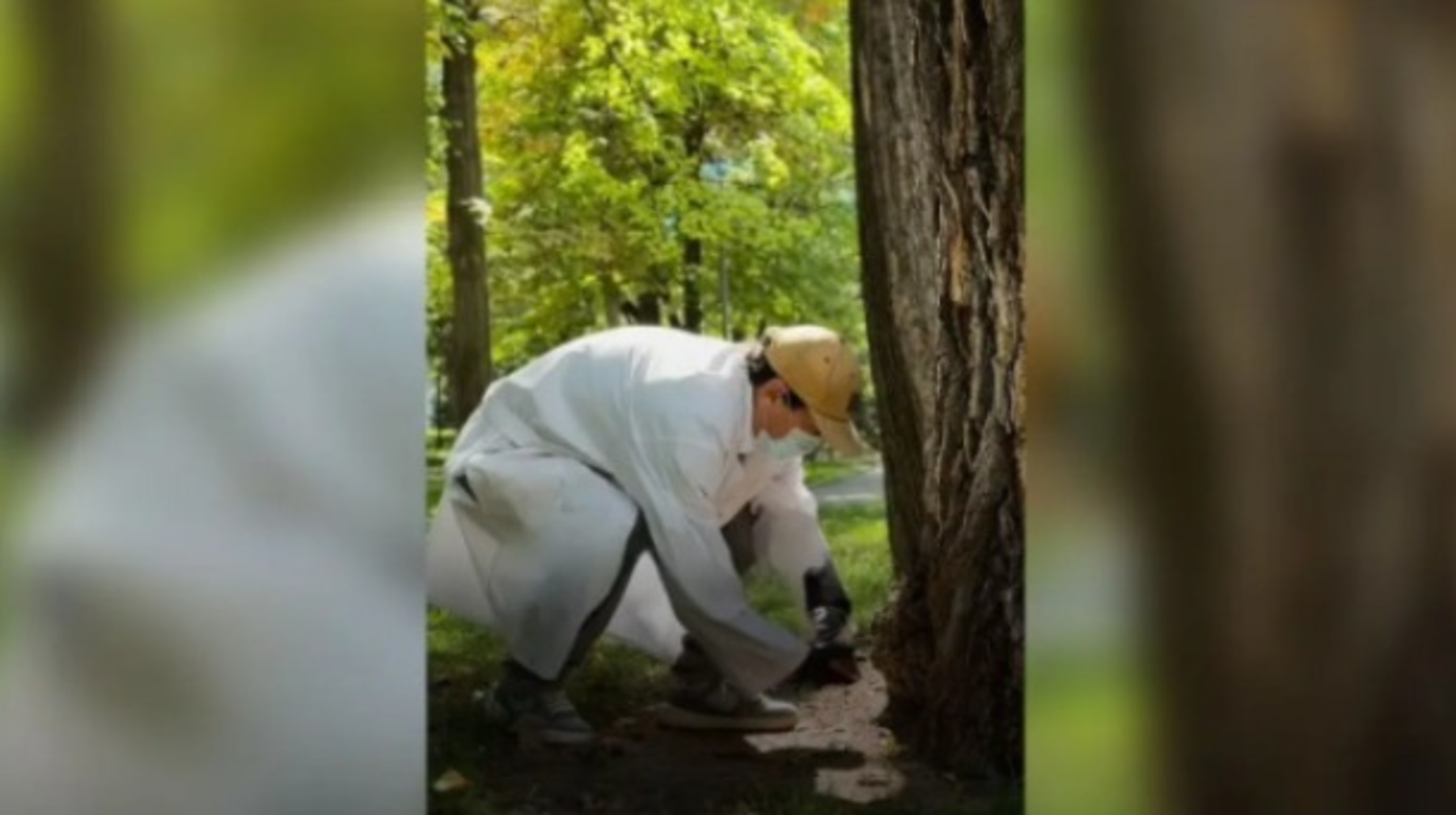 Алматыда қала аумағын кеміргіштерден қорғау мақсатында санитарлық жұмыстар жалғасып жатыр