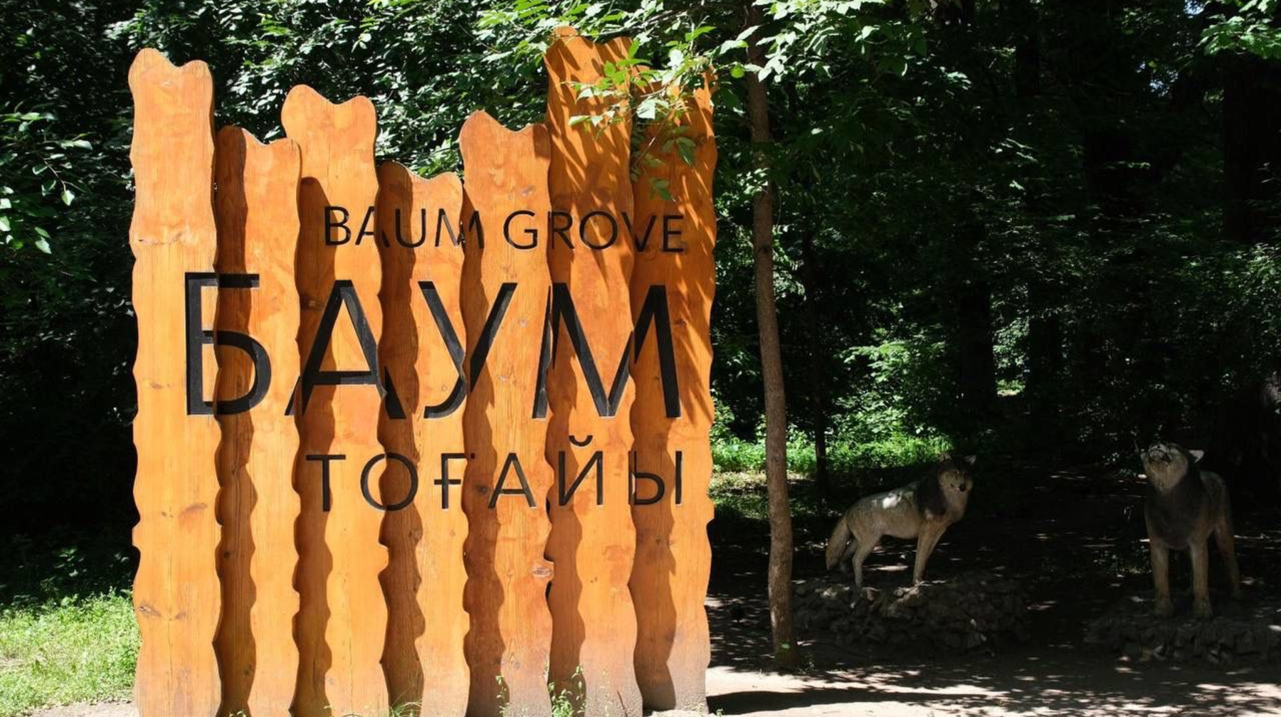 Баум тоғайын абаттандыру жобасында ағаш кесілмейді