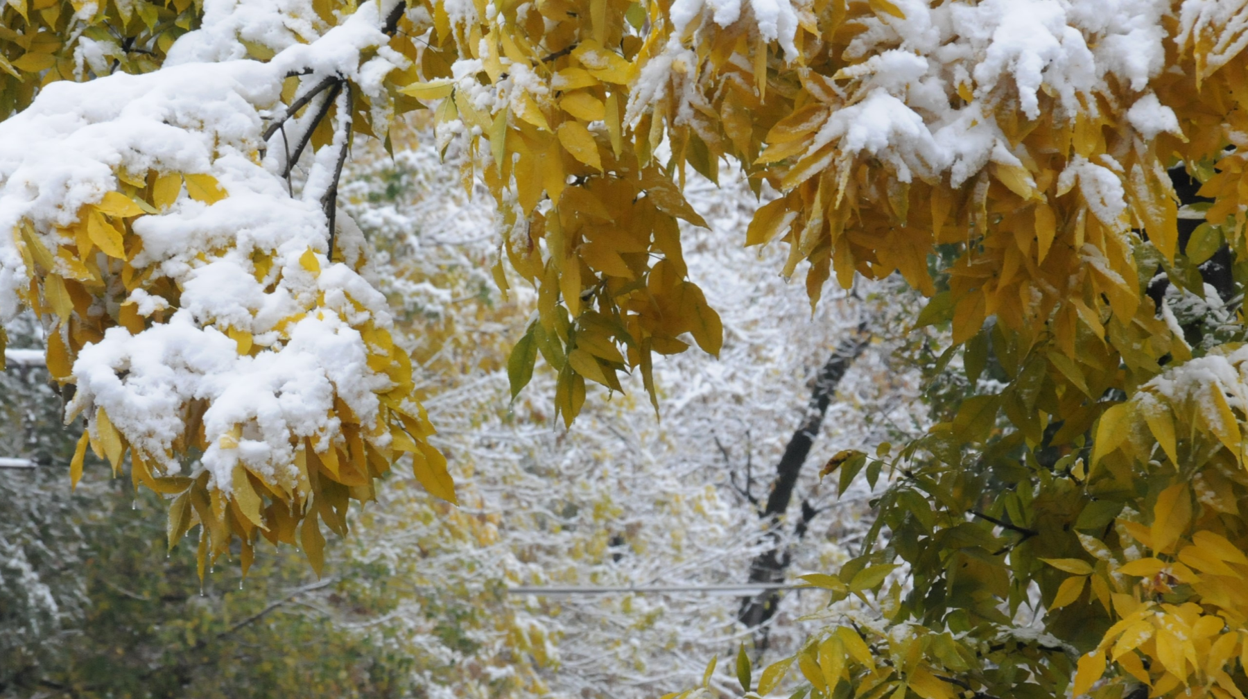 4 қарашада елдің басым бөлігінде қар жауады