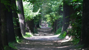 Алматыда ауа сапасы нашарлайды