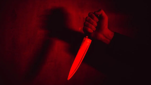 Қостанайда ер адам әйелі мен енесін аяусыздықпен пышақтап өлтірген