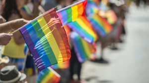 Сенат ЛГБТ насихатына тыйым салатын заңды қабылдады