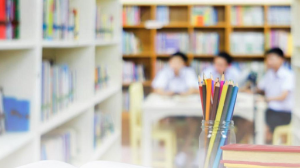 Қазақстанда жекеменшік мектептерге арналған мемлекеттік тапсырыстың жаңа жүйесі іске қосылды