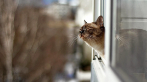 Қазгидромет Астана, Алматы және тағы 9 қала тұрғындарына ескерту жасады