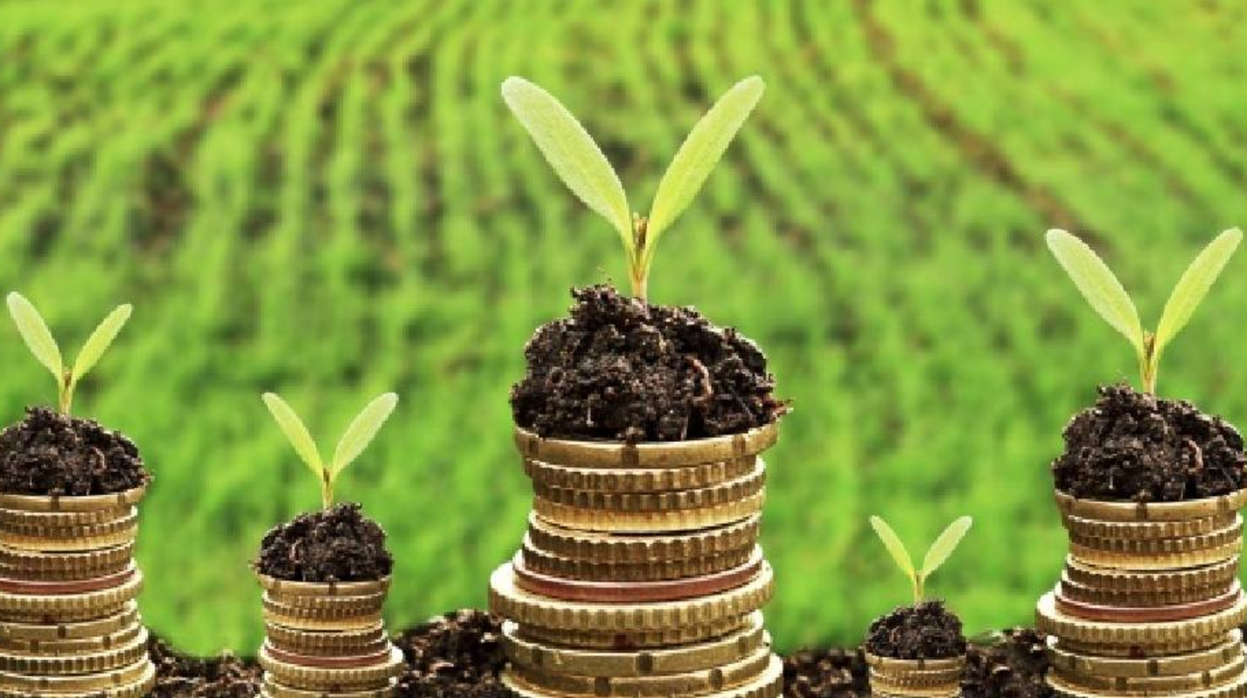 Ауыл шаруашылығына берілген жеңілдетілген несие көлемі тарихта алғаш рет 1 триллион теңгеден асты