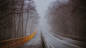 15 қарашада еліміздің басым бөлігінде тұман түсіп, жел соғады  