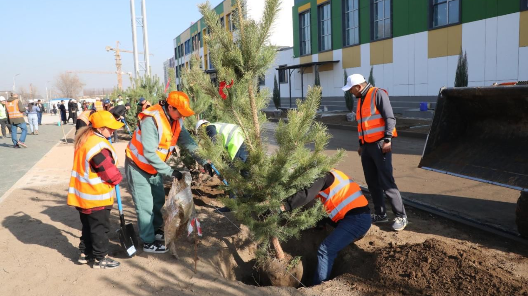Алматыда жасыл желек көбейіп келеді: мектеп салушы компания көшет отырғызу көлемін он есеге арттырды