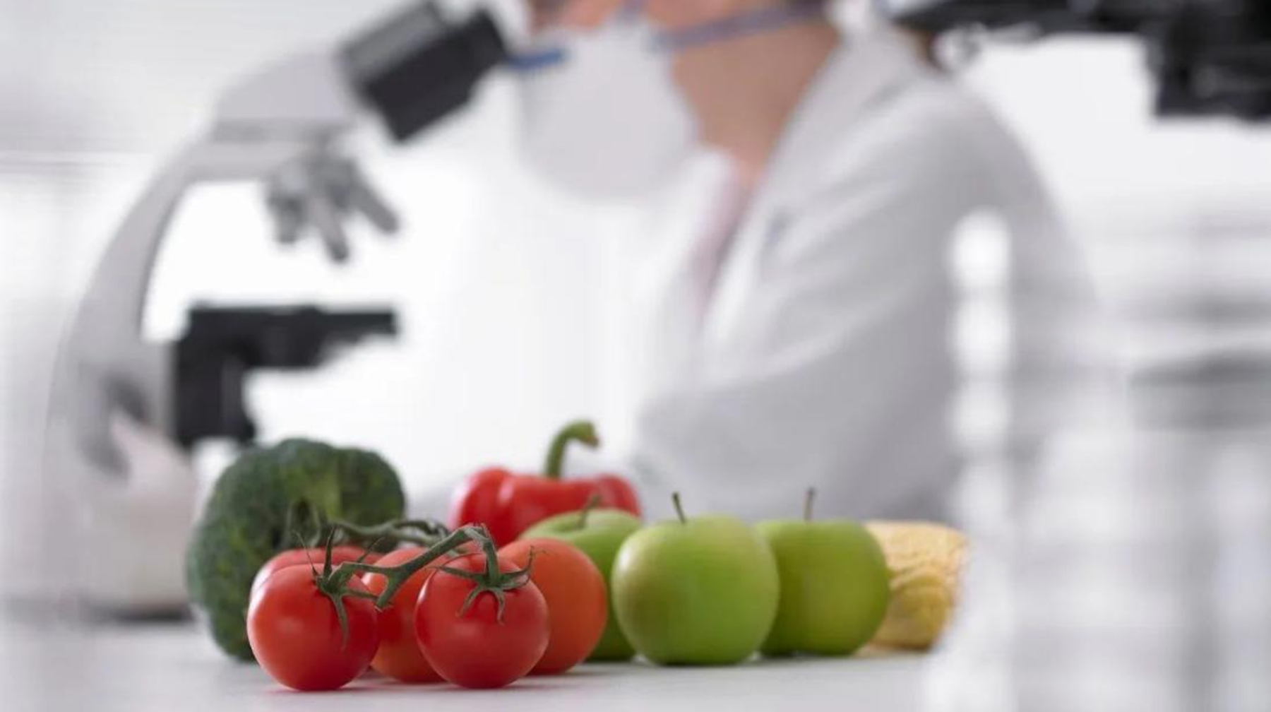 Қазақстан азық-түлік қауіпсіздігін қамтамасыз ету үшін фитосанитариялық бақылау жүйесін жетілдіреді