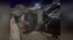 Жол апатынан 7 спортшы қаза тапты: оқиғаның мән-жайы айтылды 