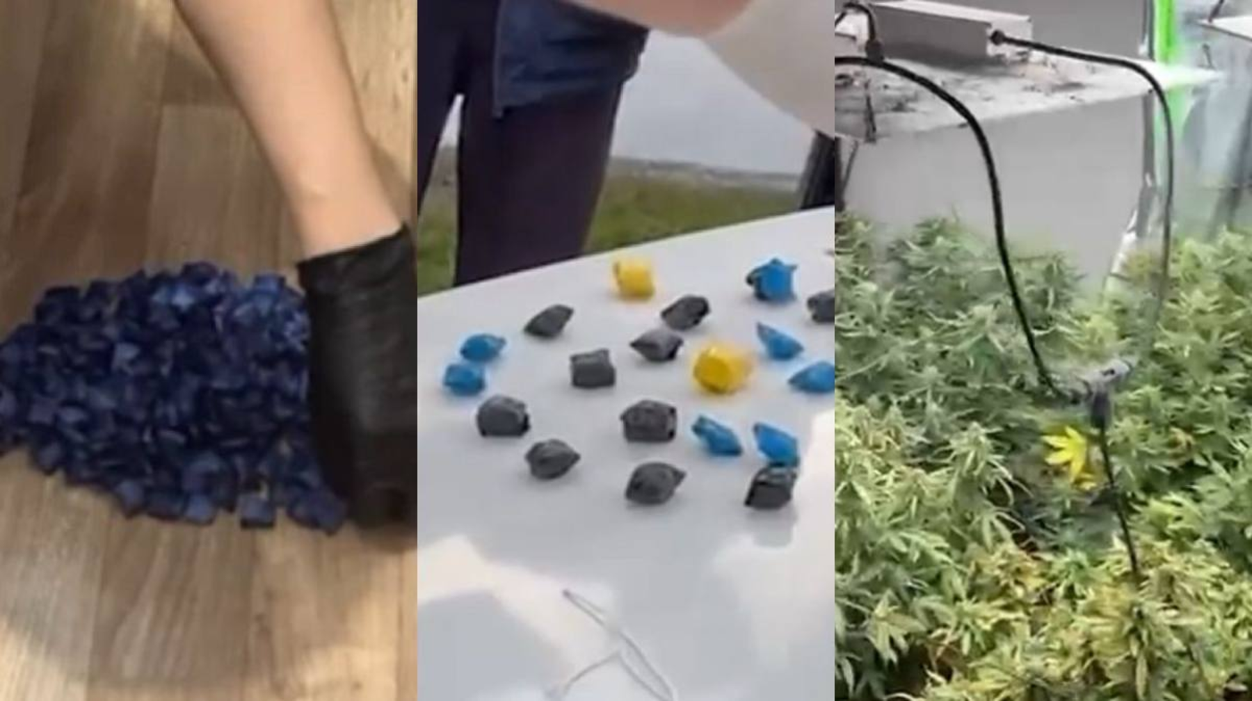 Алматыда жыл басынан бері шамамен 600 есірткі қылмысы анықталды