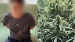 Алматыдағы көпқабатты үйден есірткі зертханасы табылды (ВИДЕО)