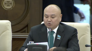 Депутат руға бөлінуді насихаттайтын контент пен фильмдерге тосқауыл қоюды ұсынды