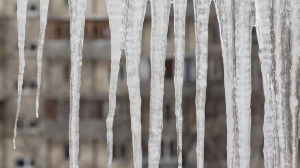 Травматолог көктайғақтағы сақтық шараларын айтты