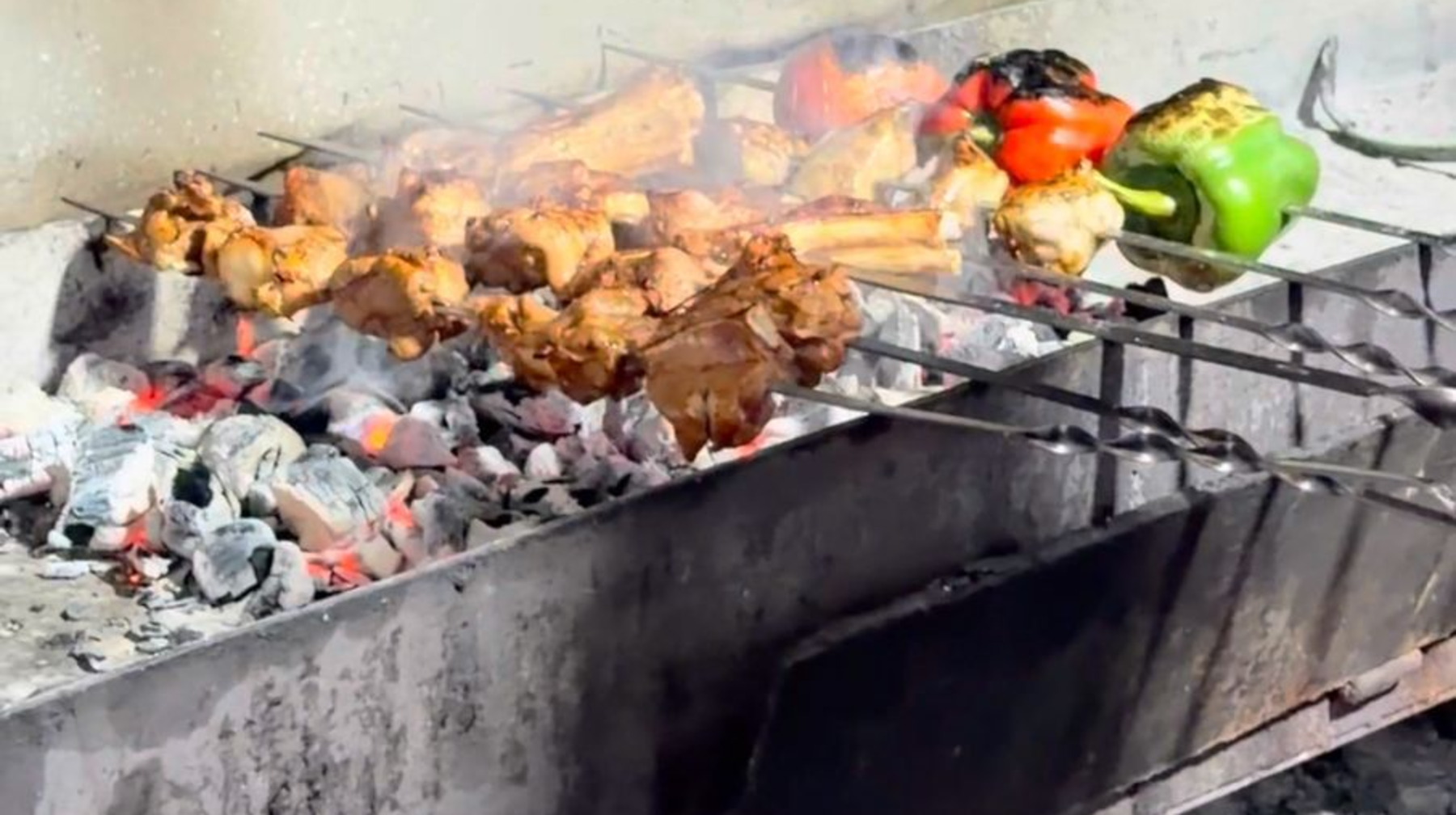 Алматының таза ауасы: кәуапханалар мен моншаларды бақылау барысы