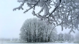 Бірнеше қаланың тұрғындарына ескерту жасалды