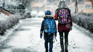 Нью-Йоркте қатты аяздан 8 адам үсіп өлді