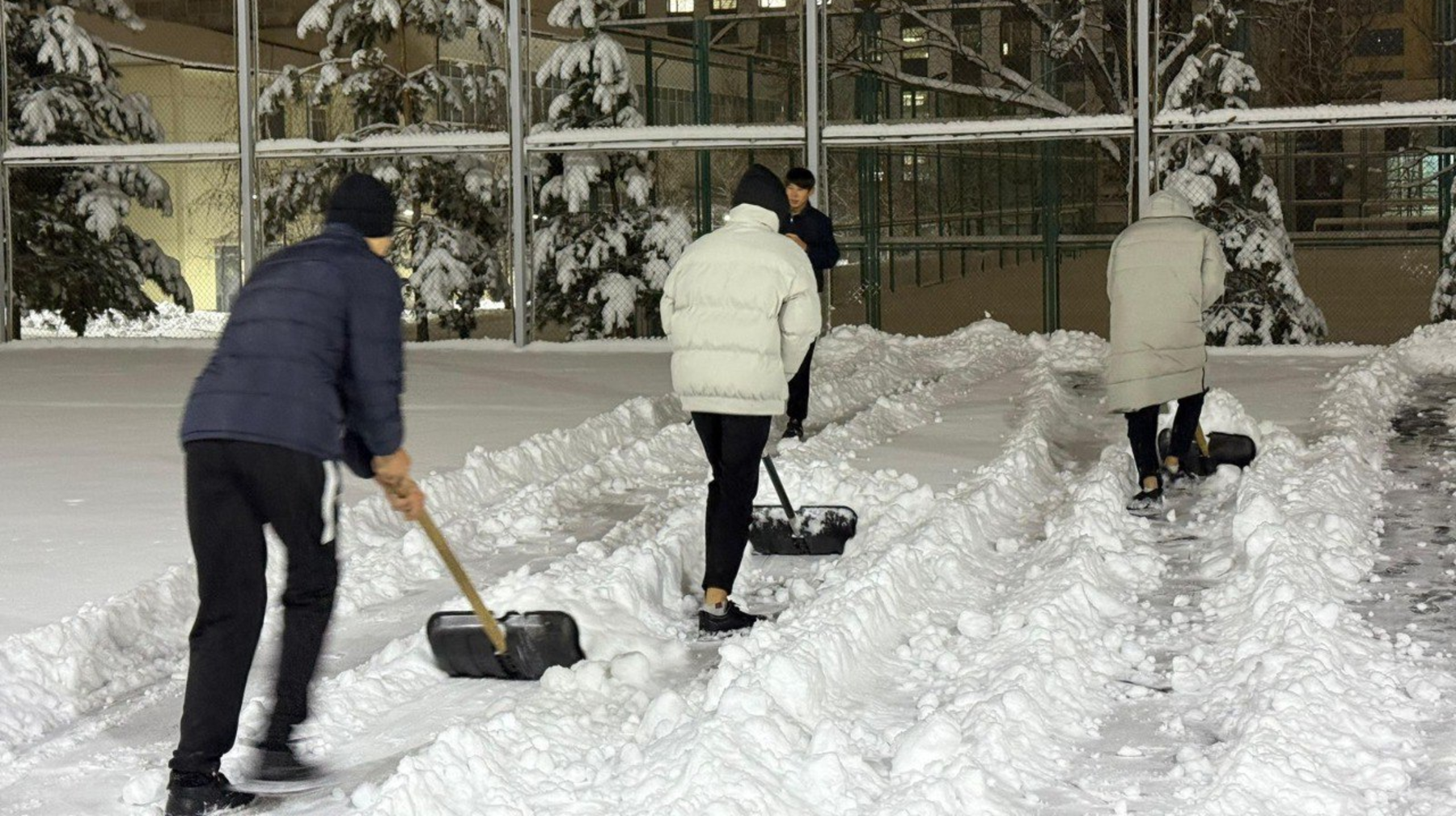 Сенбіліктен әдетке: Алматыда экоқозғалыс қалай дамып келеді?