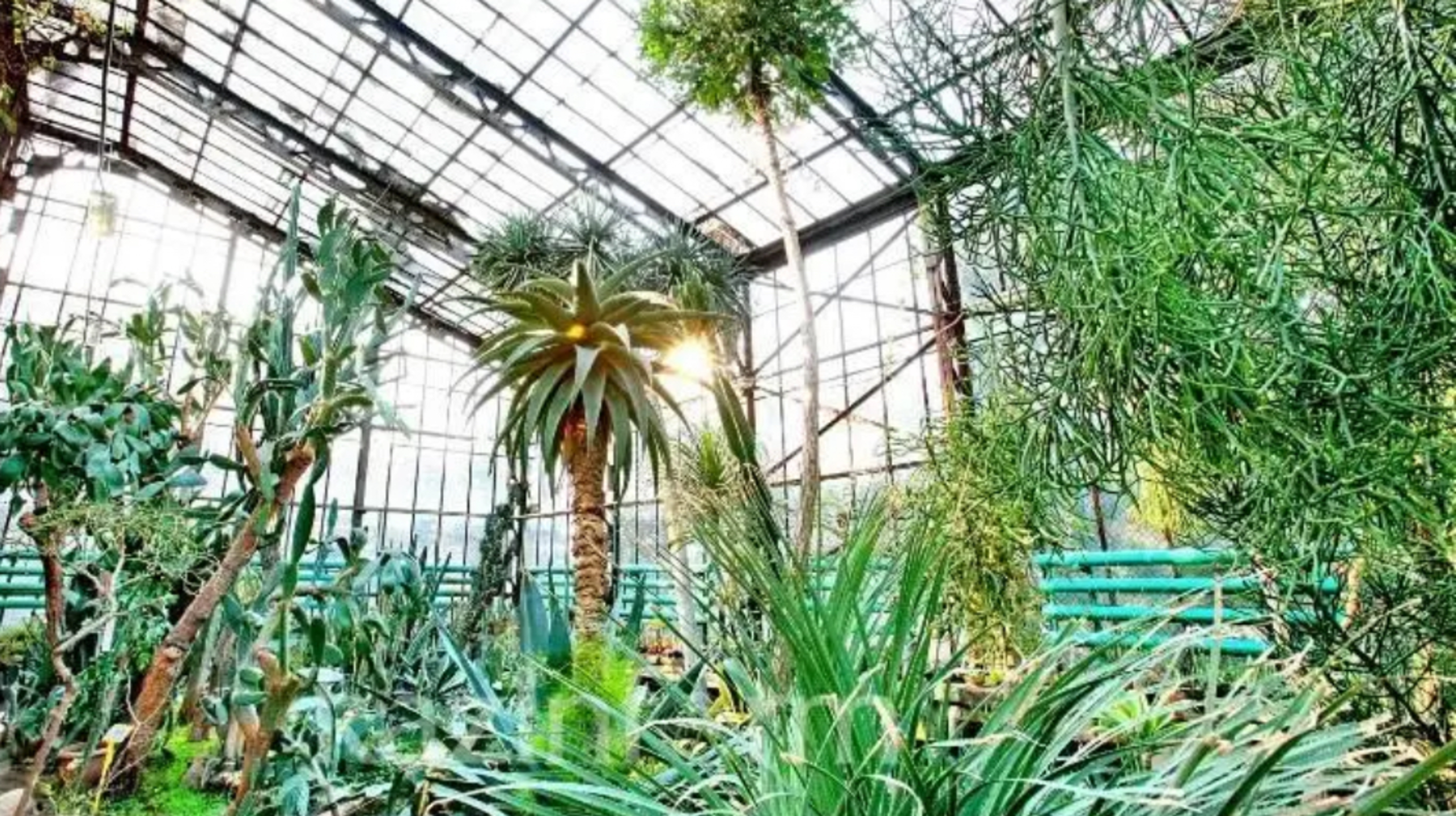 Алматының ботаникалық бағына кіру билеттерінің бағасы өсті