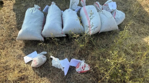 Жамбыл облысында бірнеше қап есірткі тасыған төрт адам ұзақ мерзімге сотталып кетті