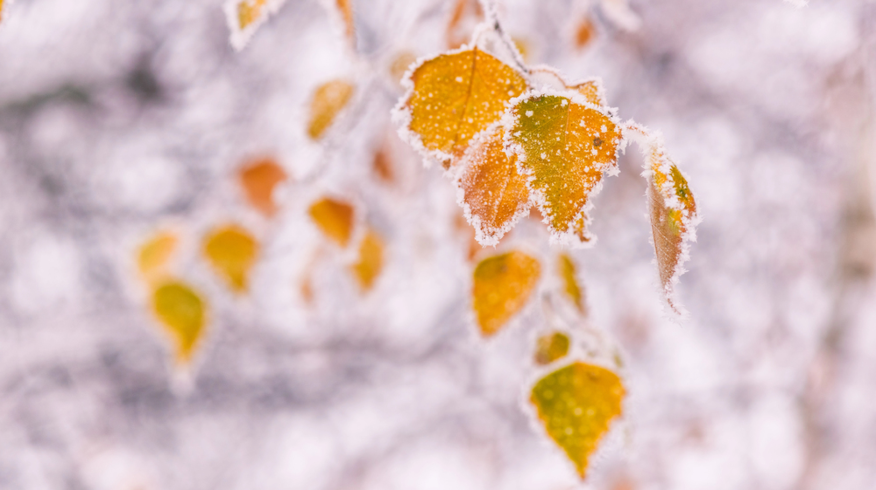 -38 градус: алдағы күндері қатты аяз болады 