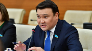 Жаңа Ата заңның қазақ тіліндегі нұсқасы толықтай қайта жазылды - депутат