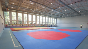 Алматыда 6 жаңа ФОК пен спортшыларды даярлайтын орталық салынады