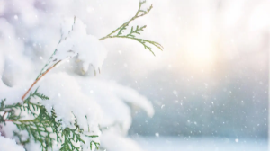 Демалыста ауа райы қандай болады?