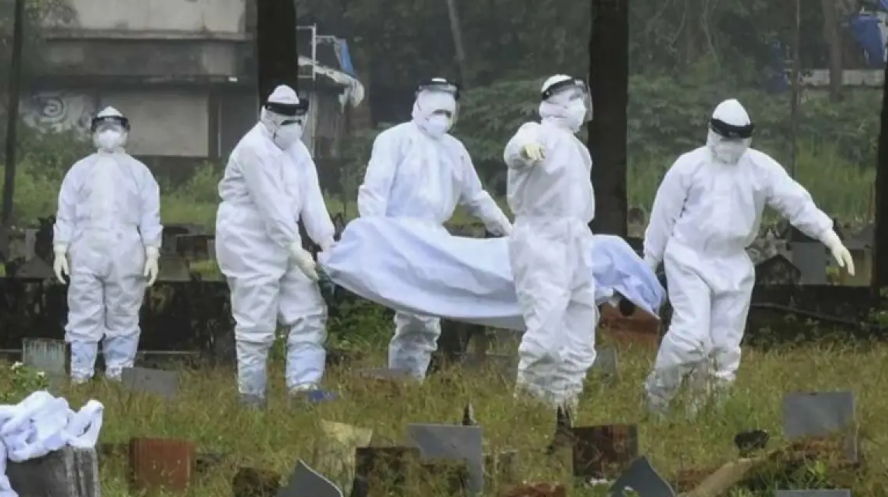 Үндістанда Нипах вирусы өршіді