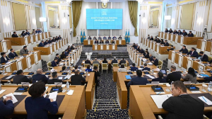 Эльвира Әзімова: Еуразия кеңістігінде алғаш рет жаңа Конституцияны дайындау жұмысы толығымен ашық жүргізілді