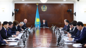  Үкімет "Қазақстан балалары" бірыңғай тұжырымдамасын қабылдады  