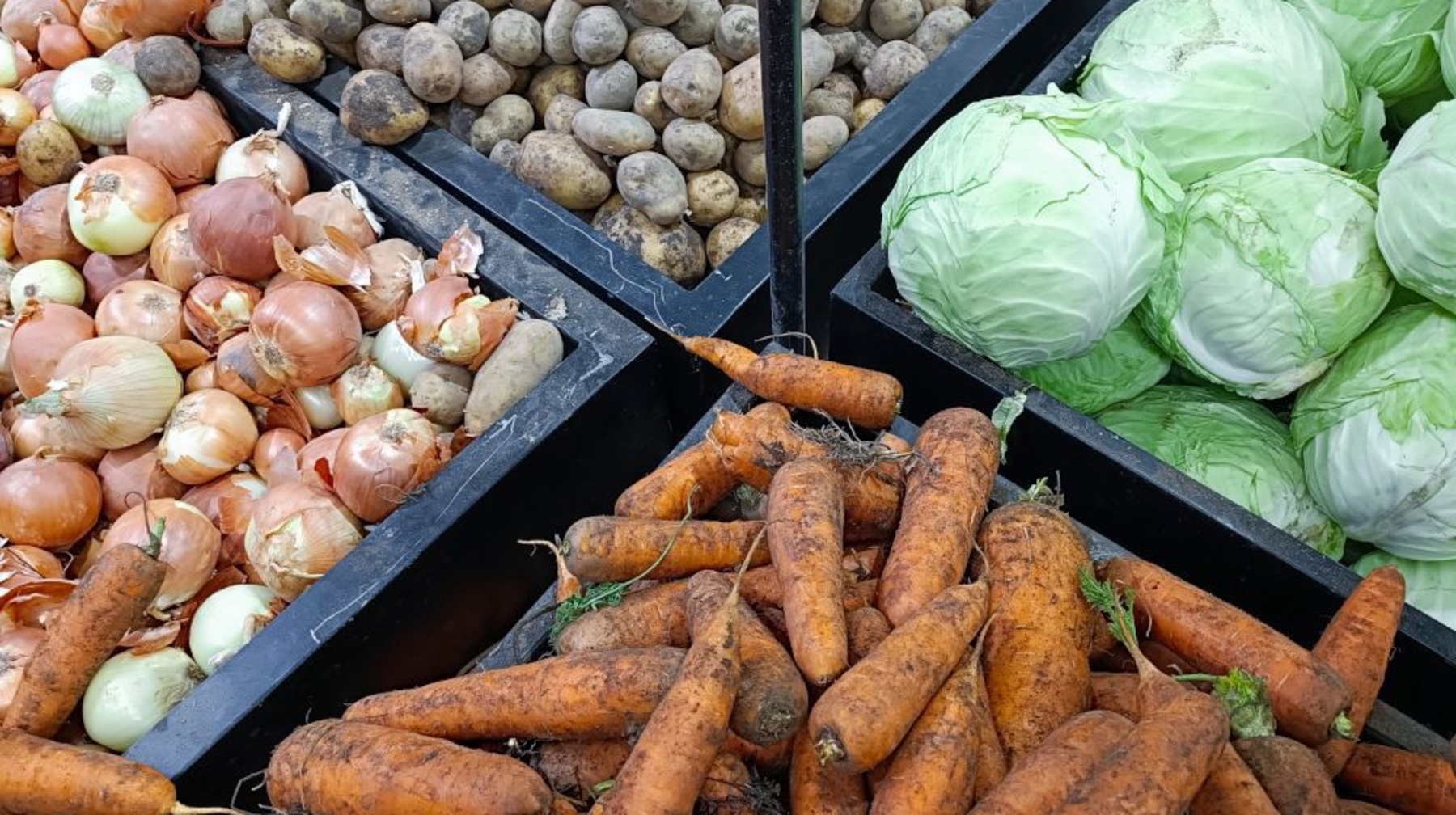 Алматыда әлеуметтік маңызы бар азық-түлік тауарларының бағасын тұрақтандыру мақсатында жеңілдетілген несие алуға өтінім қабылдау басталды  