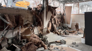 Алматыда тағы бір заңсыз қосалқы нысан сүрілді