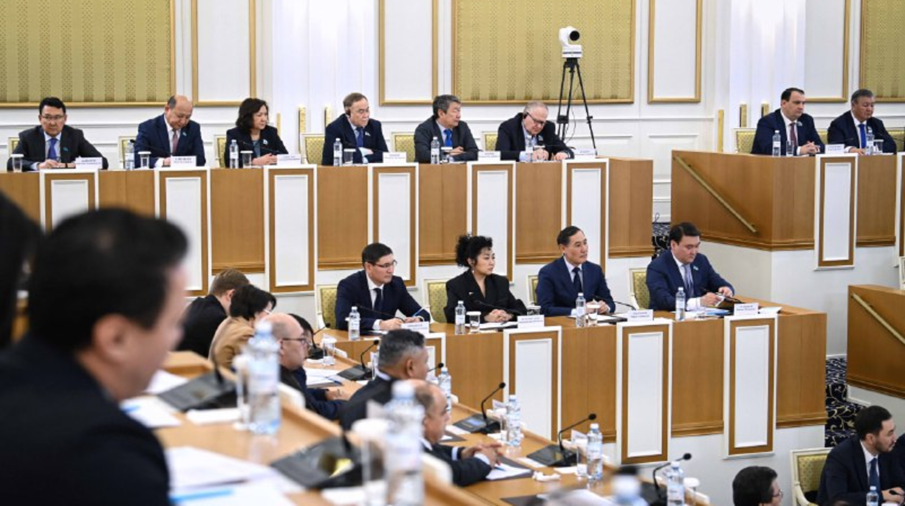 Ғылым, инновация және мәдениет: Айгүл Сәдуақасова неге бұл құндылықтар Конституцияның негізін құрайтынын айтты 