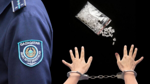 ІІМ: Он күн ішінде есірткі сатуға қатысты 48 дерек анықталды 