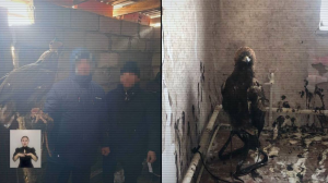 Қызыл кітапқа енген құстарды контрабандалау арнасының жолы кесілді 